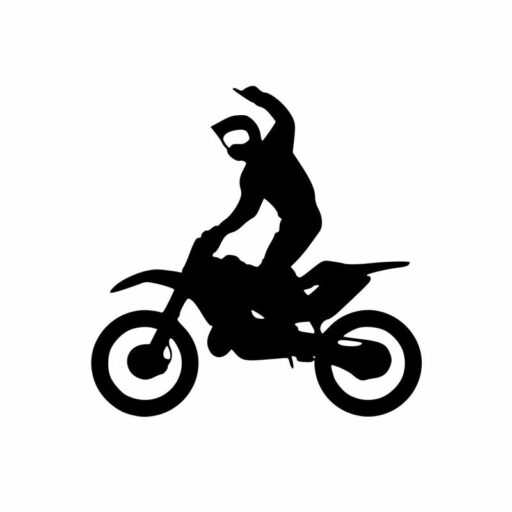 RuMoto69